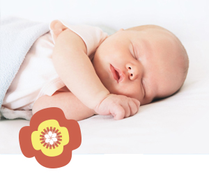 Voorlichtingskaarten