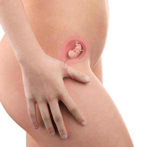 Week 10 - 12: De eerste mijlpaal!